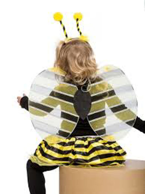 Picture of 2326 BEE WINGS AND HEADBAND